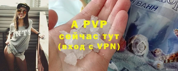 альфа пвп Новодвинск