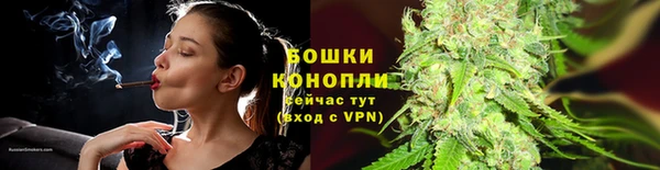 альфа пвп Новодвинск