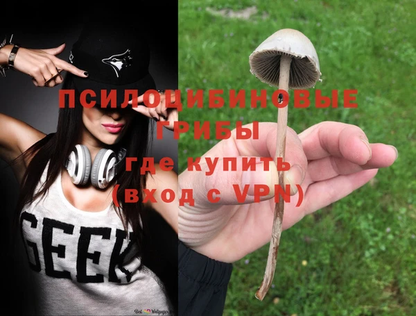 дурь Ахтубинск