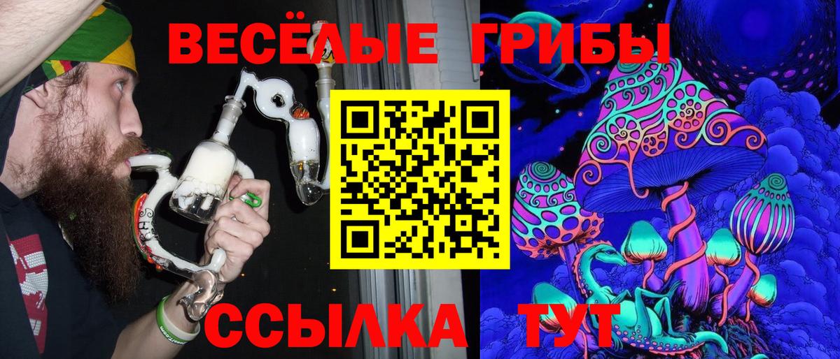 Псилоцибиновые грибы мицелий  Вход с VPN  Тара 