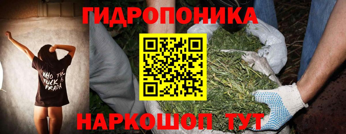 Бошки марихуана планчик Тара