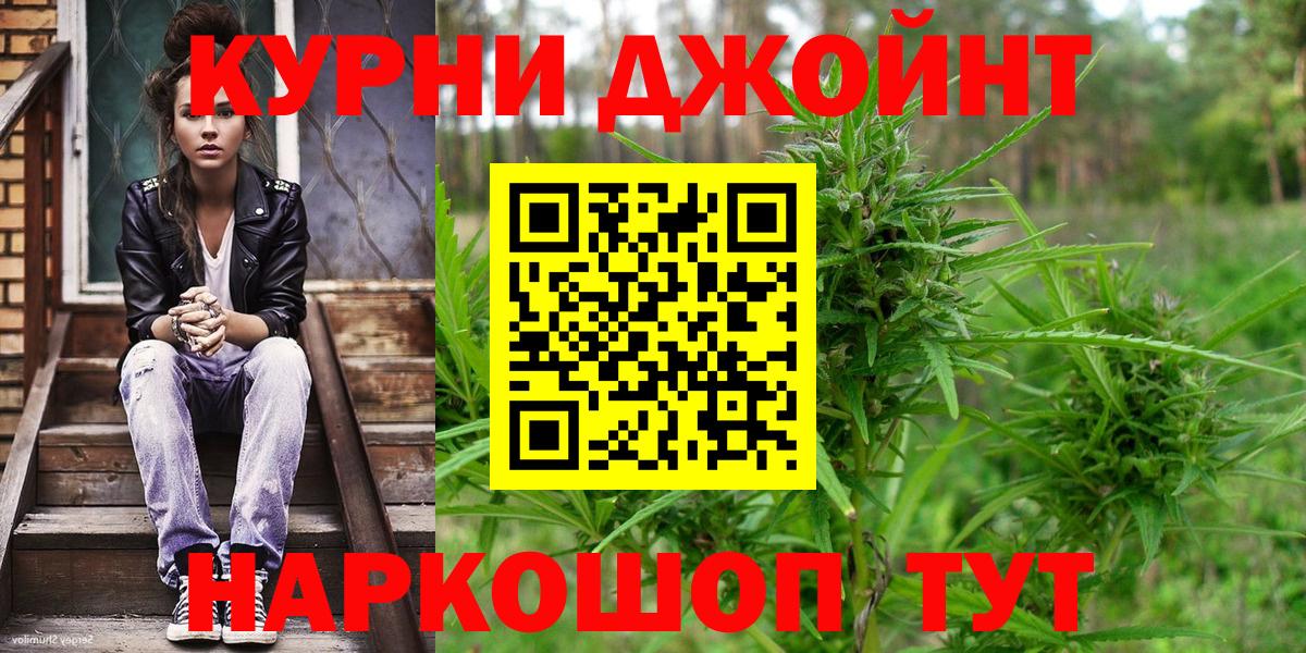 Канабис семена  Бошки Шишки VHQ  Тара  Марихуана марихуана 